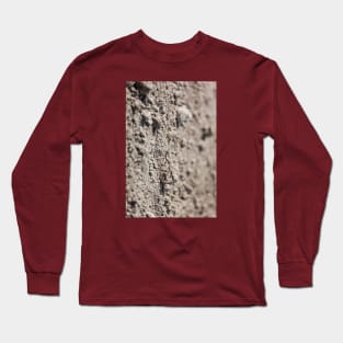 Dried Dirt Rubble Surface With Green Grass Stem Long Sleeve T-Shirt